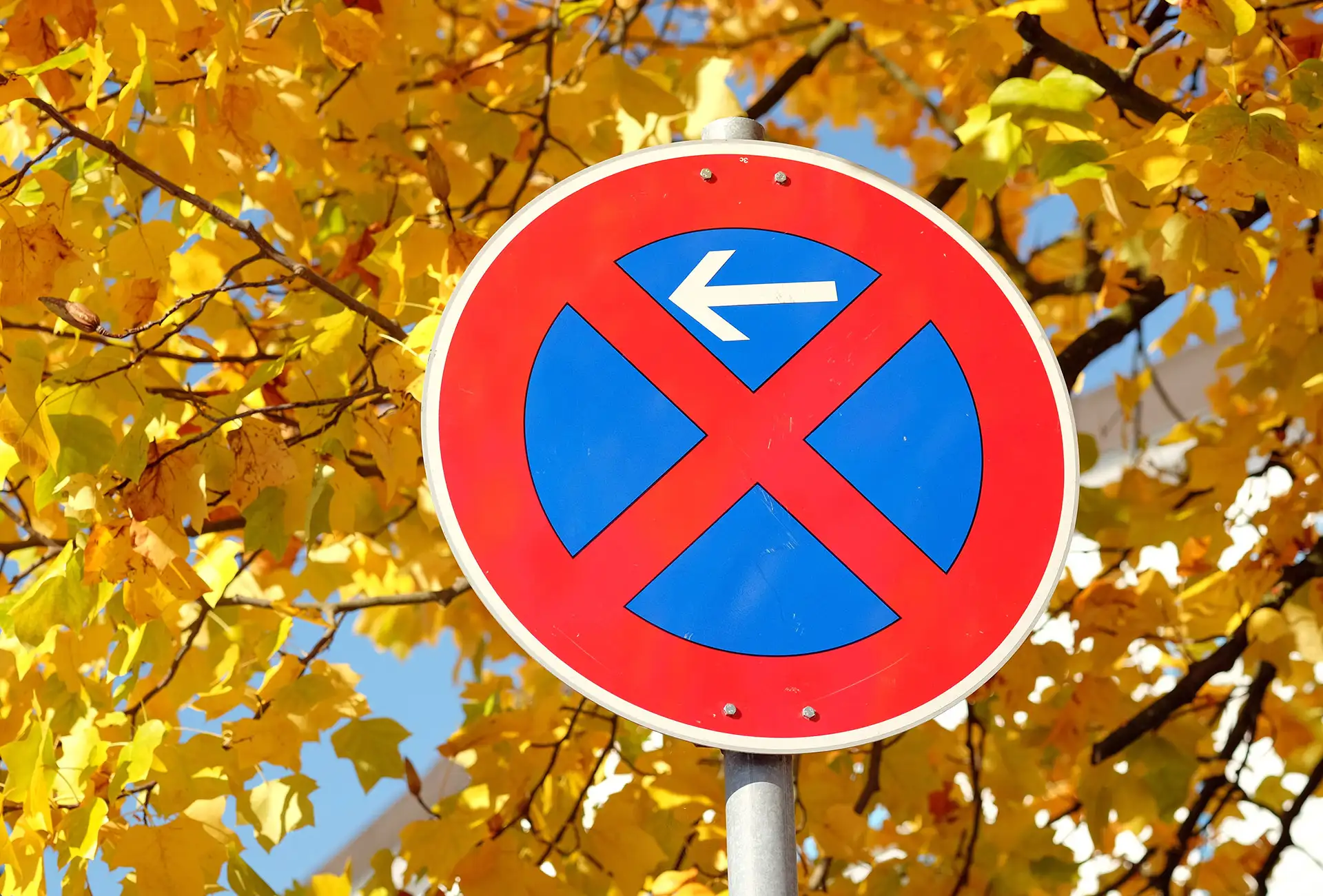 Parkverbotsschild vor herbstlich gelbem Laub